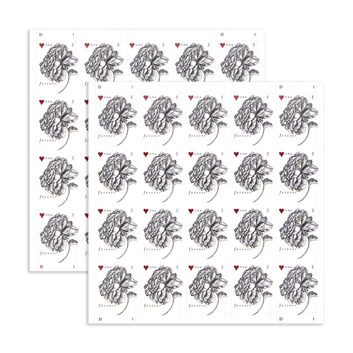 2015 engraved vintage rose forever first class postage stamps 2015 engraved vintage rose forever first class postage stamps