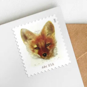 import placeholder for 5339