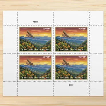 import placeholder for 5293 import placeholder for 5293