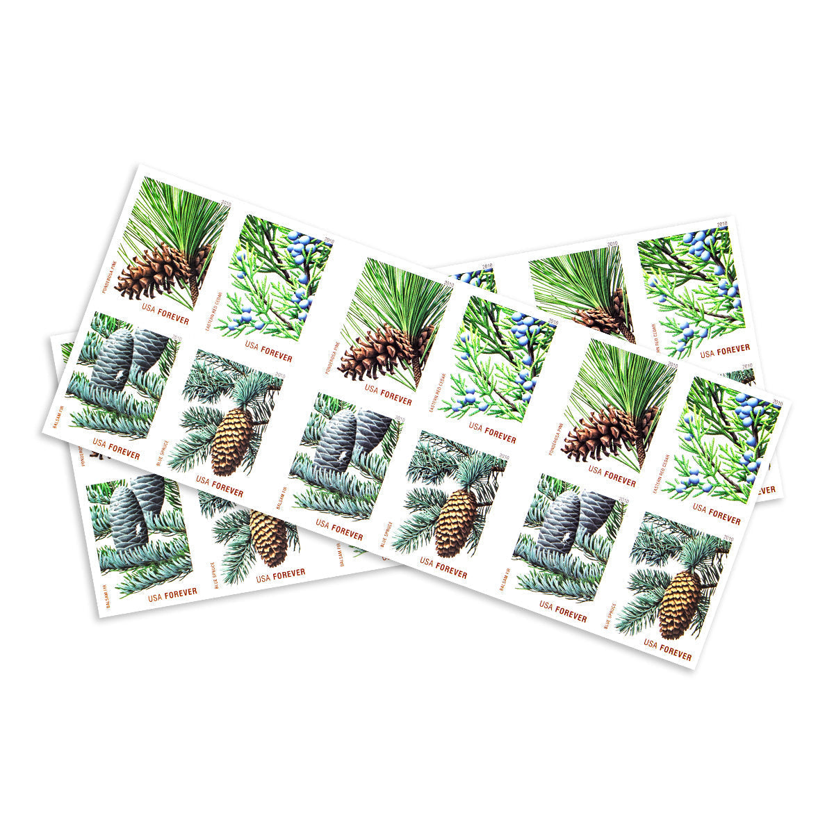 2010 holiday evergreens forever first class postage stamps 2010 holiday evergreens forever first class postage stamps