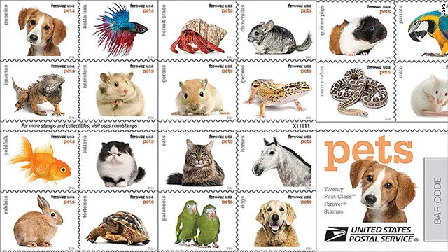 2016 animals forever first class postage stamps 2016 animals forever first class postage stamps