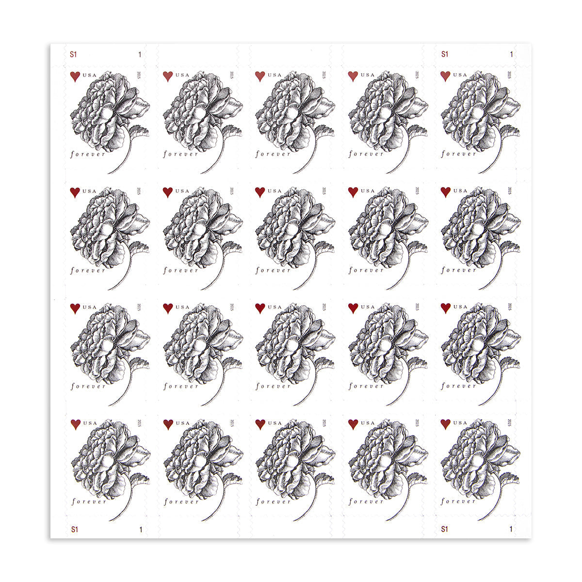 2015 engraved vintage rose forever first class postage stamps 2015 engraved vintage rose forever first class postage stamps