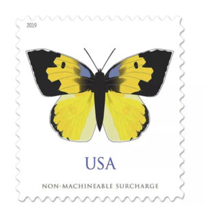 import placeholder for 4306
