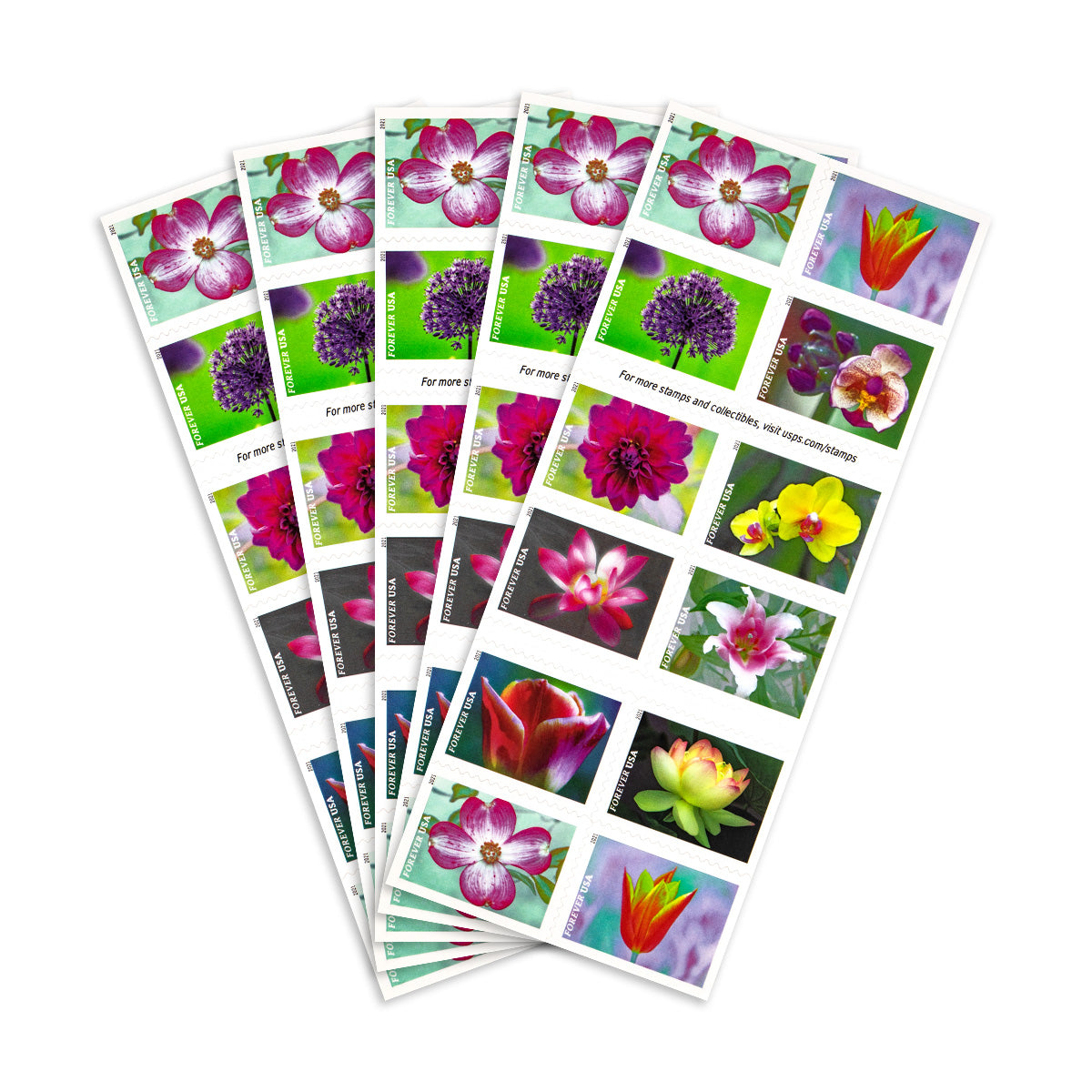 2021 garden beauty forever first class postage stamps 2021 garden beauty forever first class postage stamps