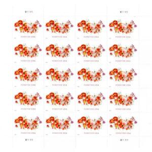import placeholder for 5120
