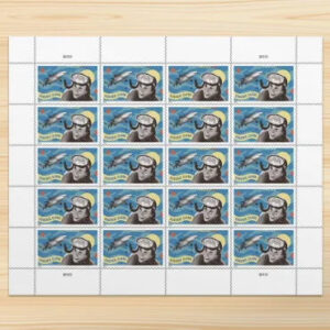 import placeholder for 4954