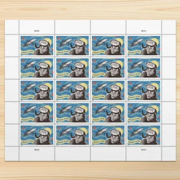 import placeholder for 4954 import placeholder for 4954