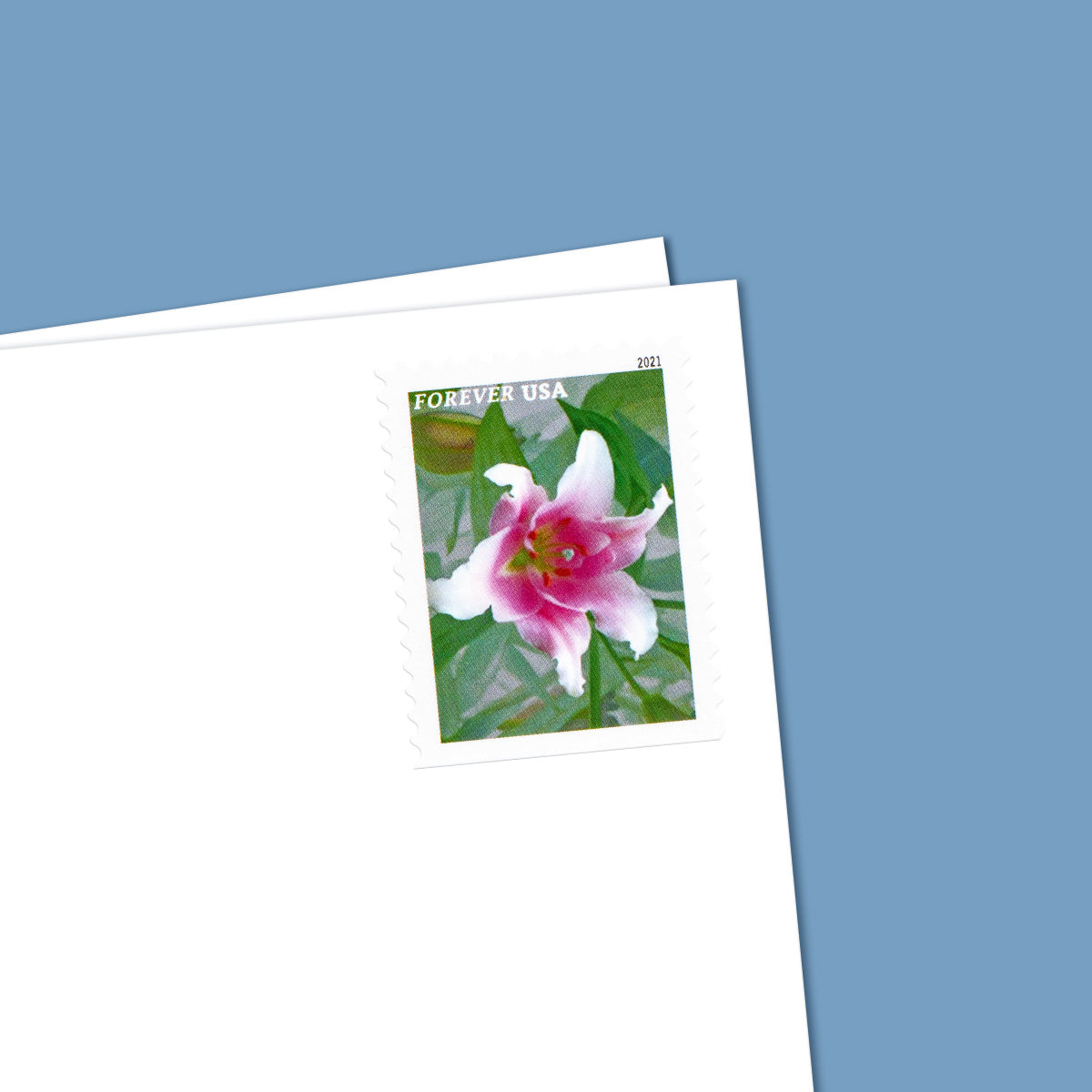 2021 garden beauty forever first class postage stamps 2021 garden beauty forever first class postage stamps