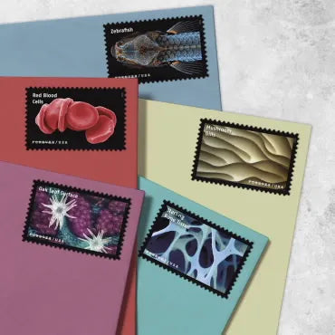 2023 life magnified forever first class postage stamps 2023 life magnified forever first class postage stamps
