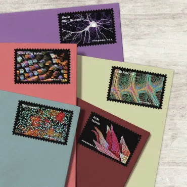 2023 life magnified forever first class postage stamps 2023 life magnified forever first class postage stamps