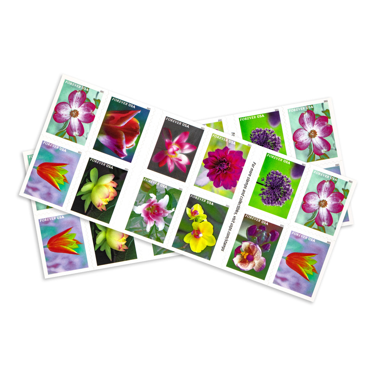 2021 garden beauty forever first class postage stamps 2021 garden beauty forever first class postage stamps