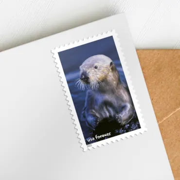 2022 national marine sanctuaries forever first class postage stamps 2022 national marine sanctuaries forever first class postage stamps