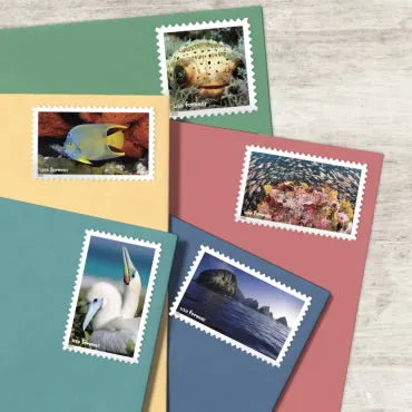 2022 national marine sanctuaries forever first class postage stamps 2022 national marine sanctuaries forever first class postage stamps