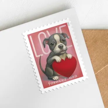 2023 love cat and dog heart forever first class postage stamps 2023 love cat and dog heart forever first class postage stamps
