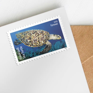 2024 protect sea turtles forever first class postage stamps 2024 protect sea turtles forever first class postage stamps