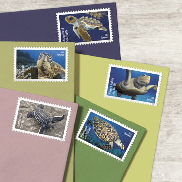 2024 protect sea turtles forever first class postage stamps 2024 protect sea turtles forever first class postage stamps