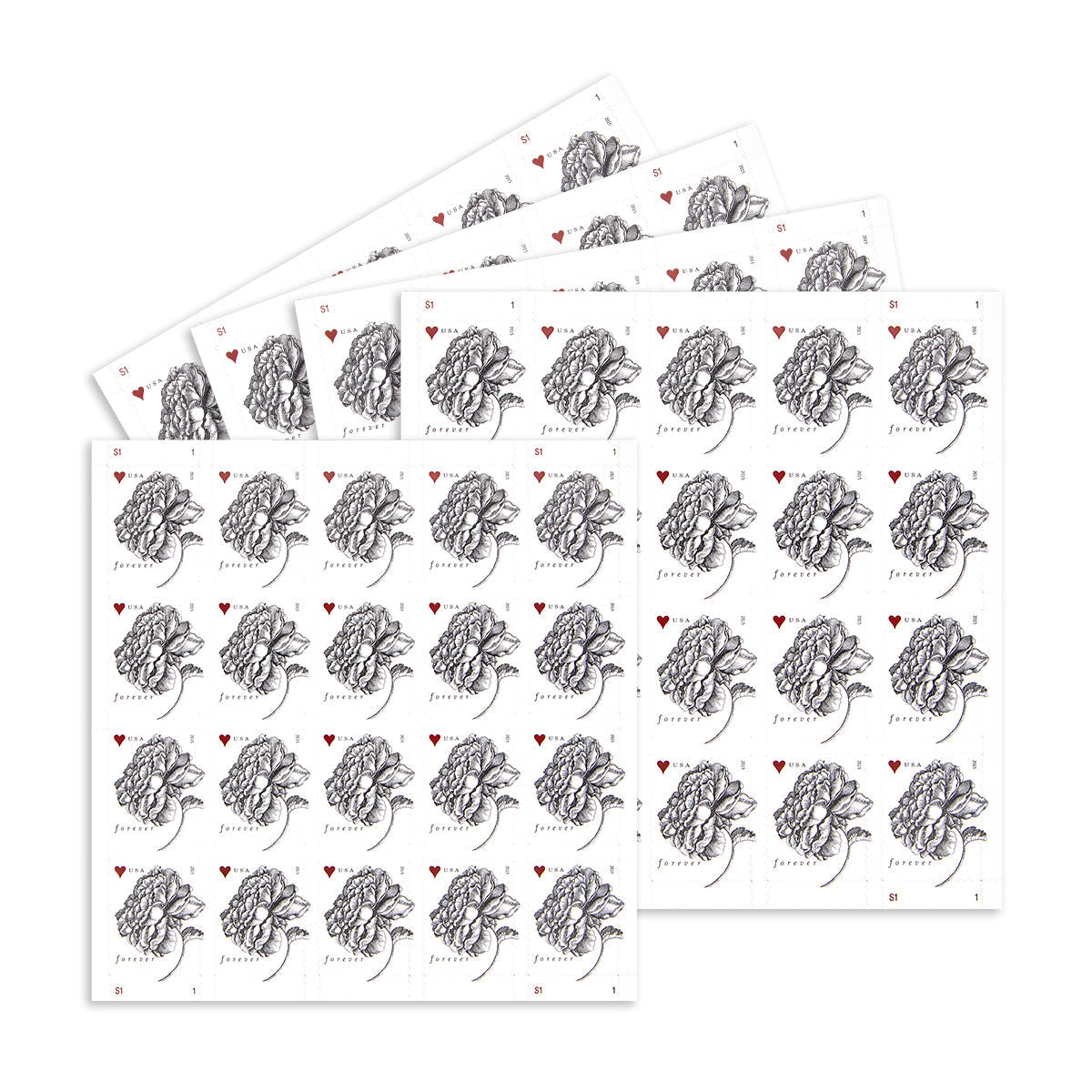2015 engraved vintage rose forever first class postage stamps 2015 engraved vintage rose forever first class postage stamps