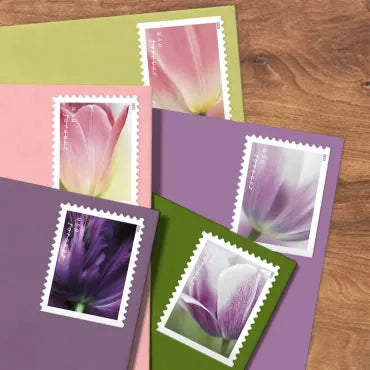 2023 tulips blossom forever first class postage stamps 2023 tulips blossom forever first class postage stamps
