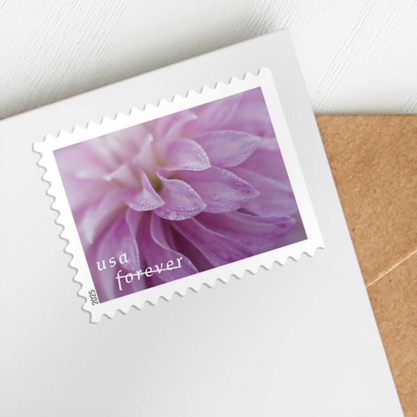 2025 dahlias stamps forever first class postage stamps 2025 dahlias stamps forever first class postage stamps