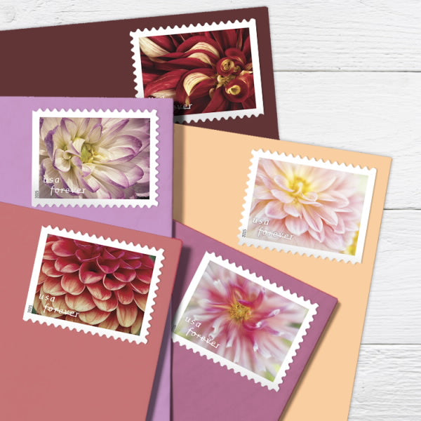 2025 dahlias stamps forever first class postage stamps 2025 dahlias stamps forever first class postage stamps
