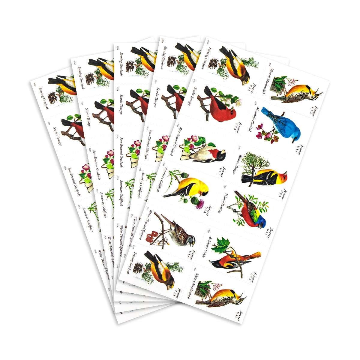 2014 imperforate songbirds forever first class postage stamps 2014 imperforate songbirds forever first class postage stamps