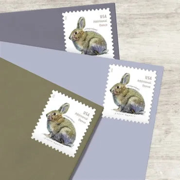 2021 brush rabbit forever first class postage stamps 2021 brush rabbit forever first class postage stamps