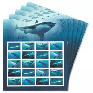 import placeholder for 4148
