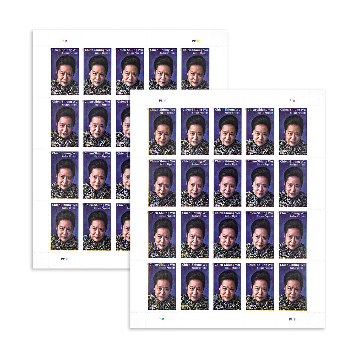 2021 nuclear physicist chien shiung wu forever first class postage stamps 2021 nuclear physicist chien shiung wu forever first class postage stamps