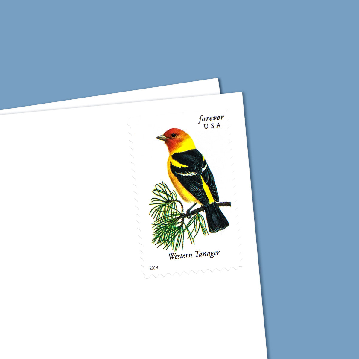 2014 imperforate songbirds forever first class postage stamps 2014 imperforate songbirds forever first class postage stamps