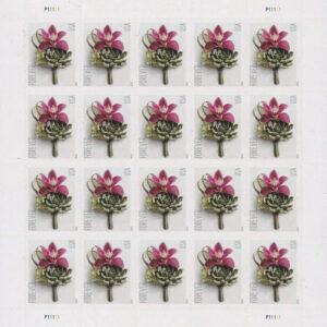 import placeholder for 4493