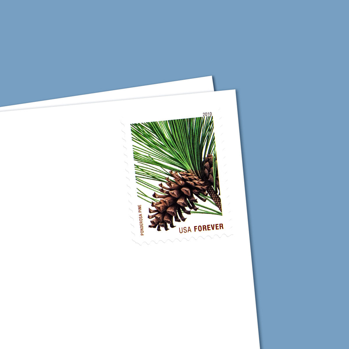 2010 holiday evergreens forever first class postage stamps 2010 holiday evergreens forever first class postage stamps