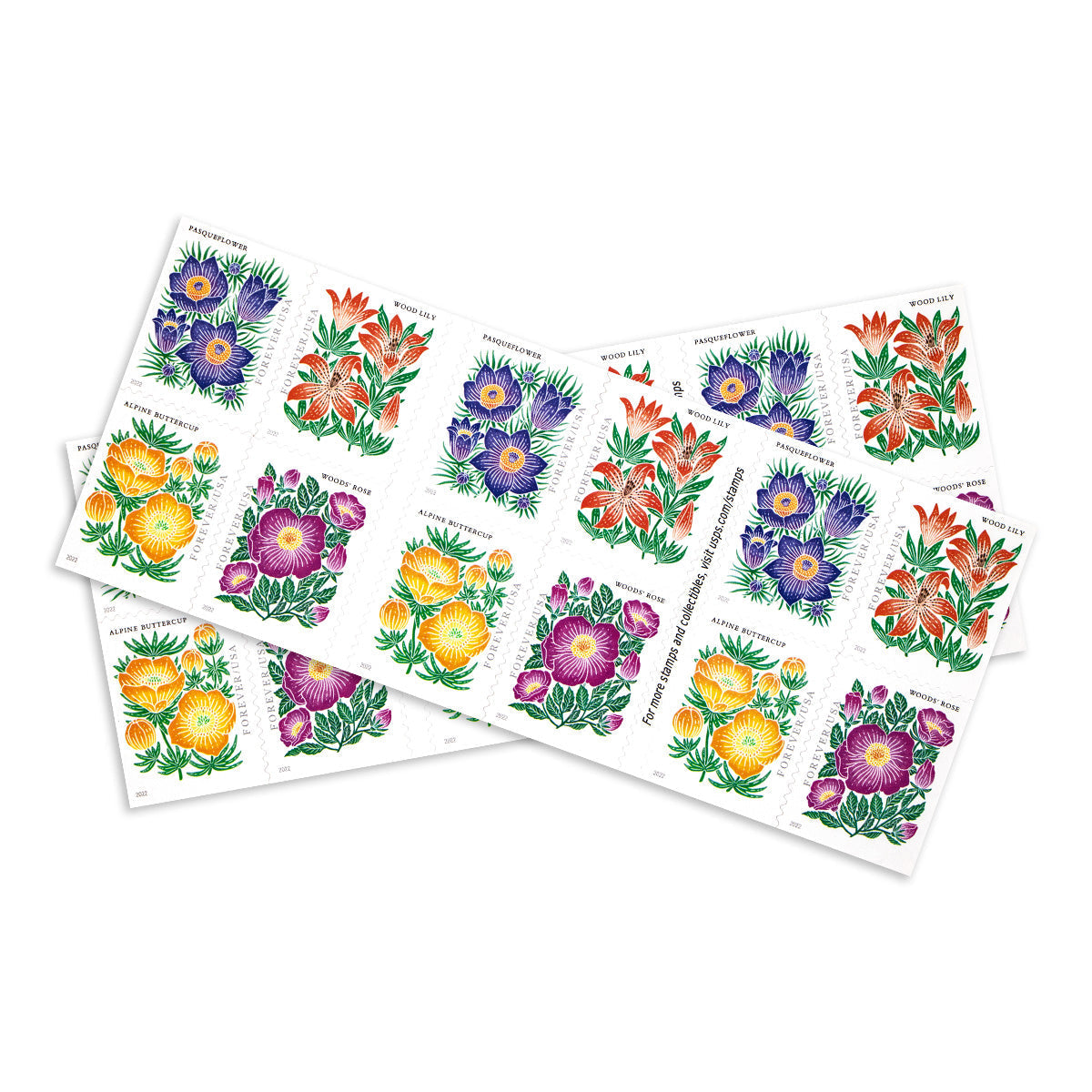 2022 mountain flora forever first class postage stamps 2022 mountain flora forever first class postage stamps