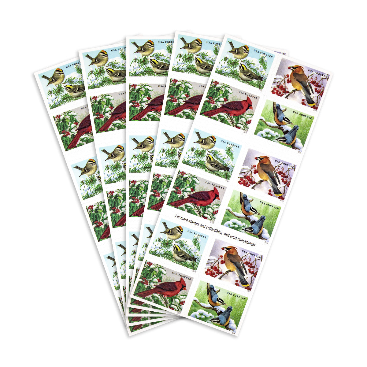 2016 songbirds in snow forever first class postage stamps 2016 songbirds in snow forever first class postage stamps