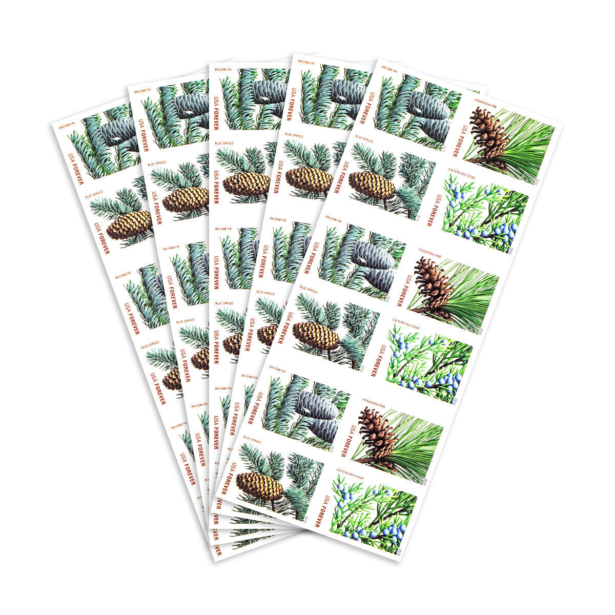 2010 holiday evergreens forever first class postage stamps 2010 holiday evergreens forever first class postage stamps