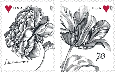 2015 engraved vintage rose forever first class postage stamps 2015 engraved vintage rose forever first class postage stamps